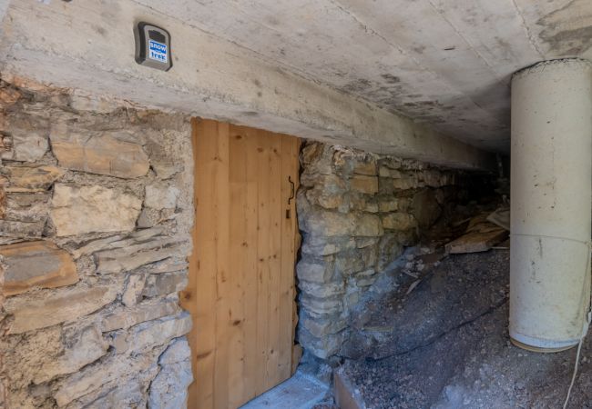 Gentianes - Chalet - Morzine - Snow and Trek