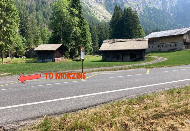 Apartment in Morzine - Ardoisiere