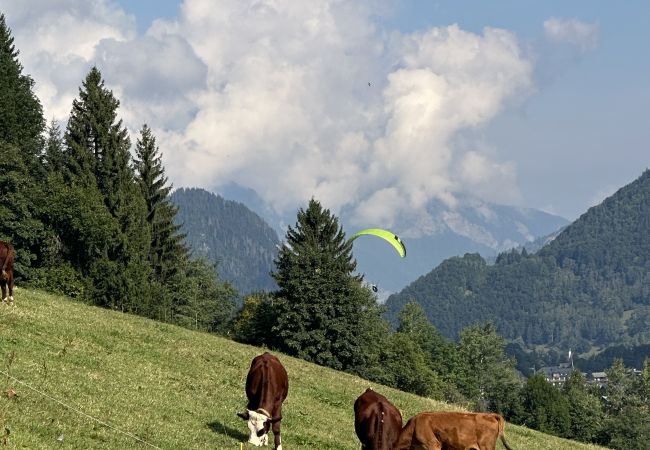 Chalet in Morzine - Chocolate Moose Chalet