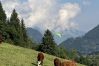 Chalet in Morzine - Chocolate Moose Chalet